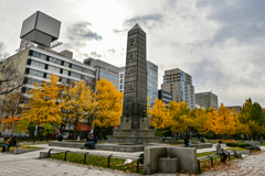 大通公園の銀杏