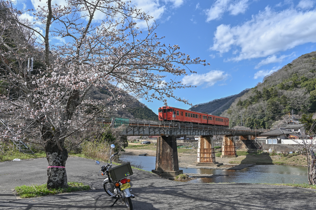 春の風景