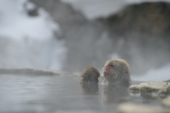 母子で入浴