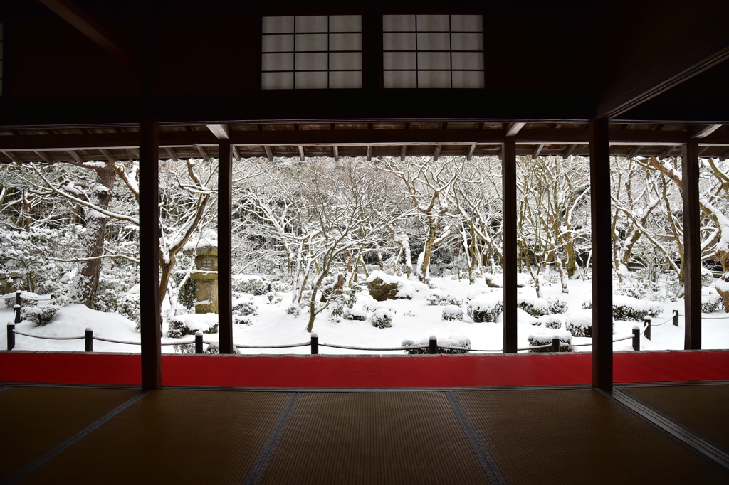 京都の雪景色①
