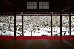 京都の雪景色①