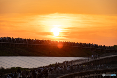 リングに沈む夕日