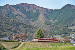 里山の駅