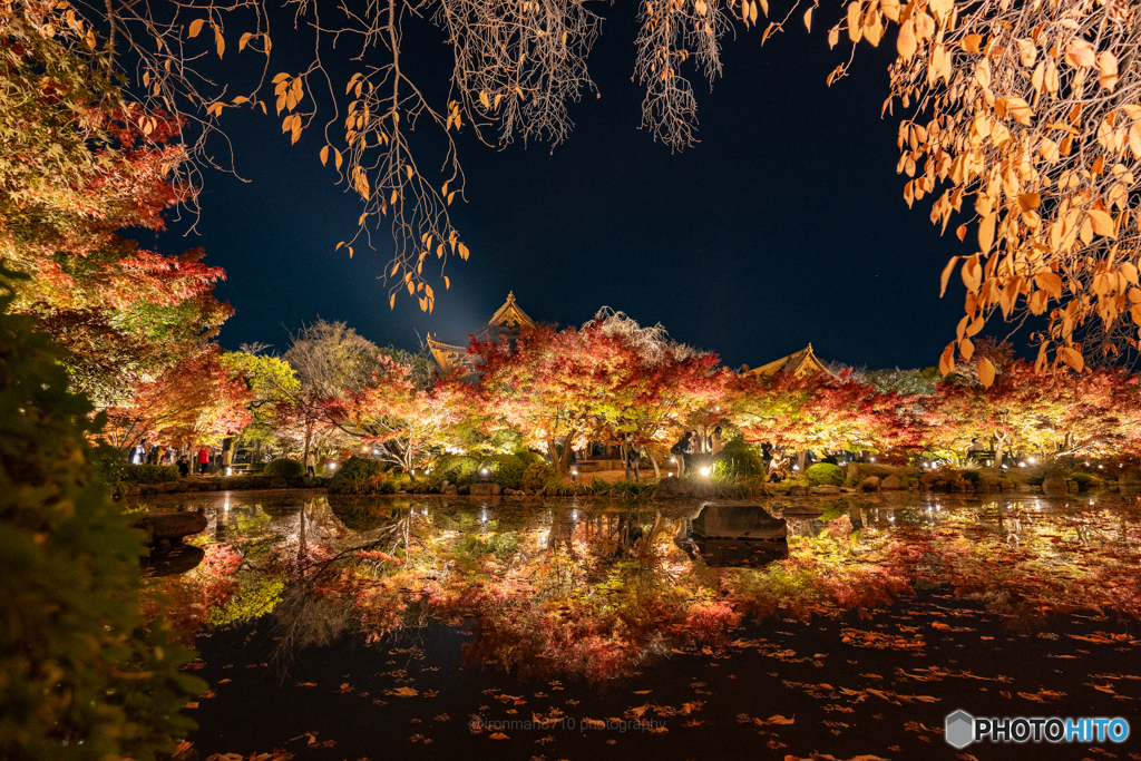 東寺紅葉ライトアップ②