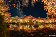 東寺紅葉ライトアップ②