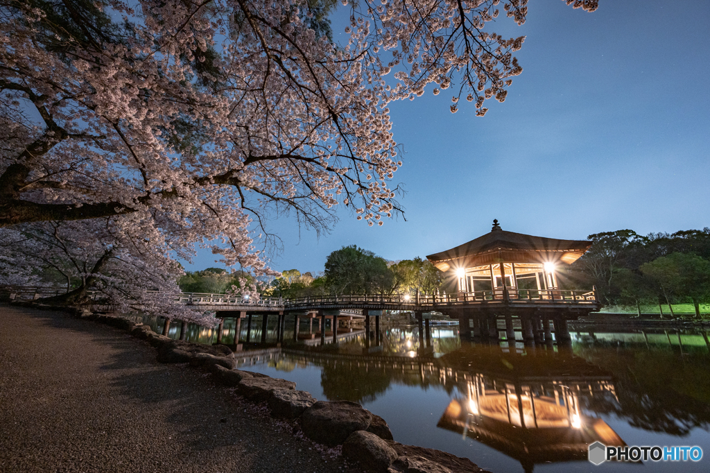 桜の浮見堂②