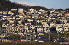 日本っぽくない…