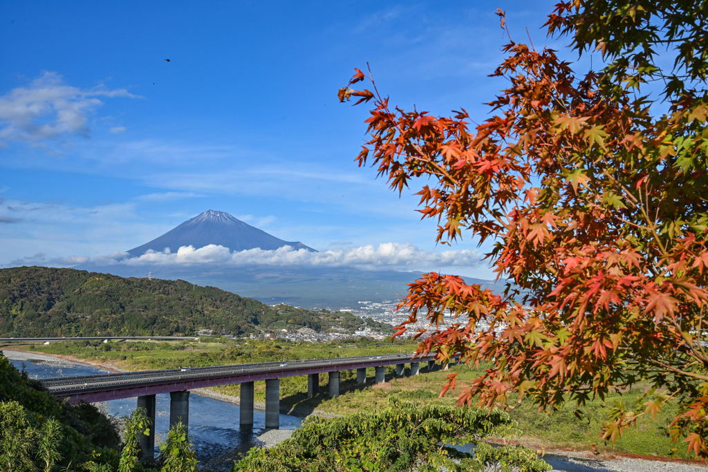 富士川SAからの富士