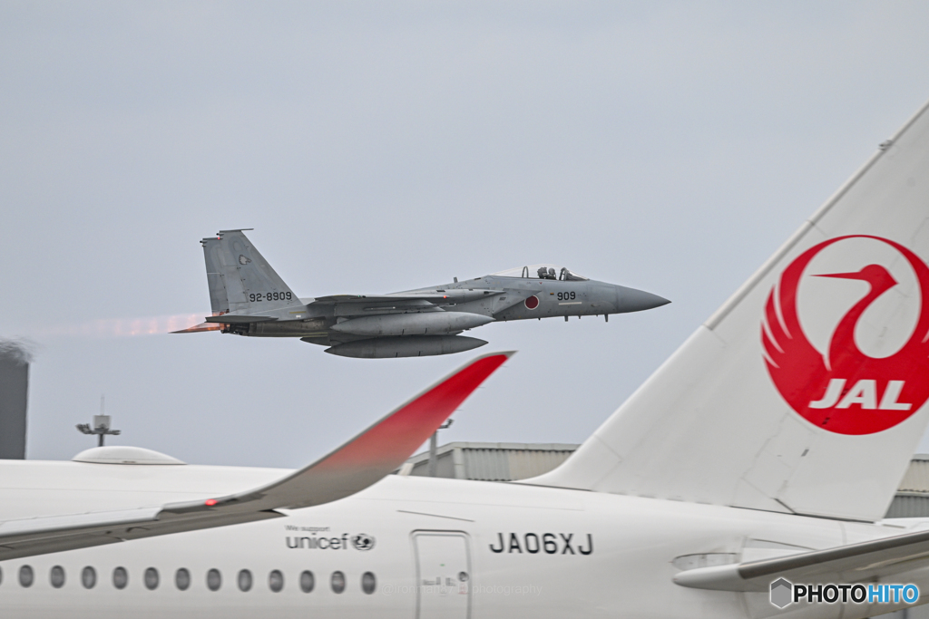 鶴とイーグル