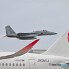 鶴とイーグル