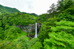 新緑・華厳の滝