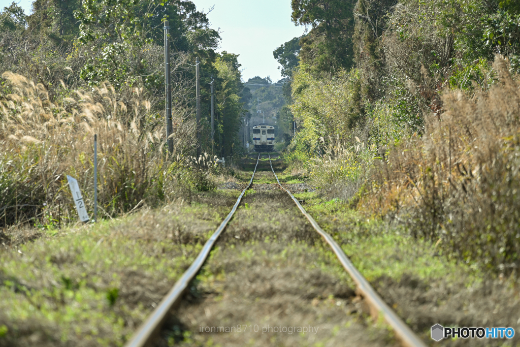 最南端の鉄路