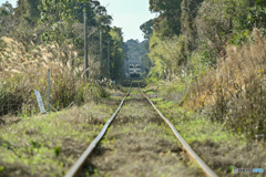 最南端の鉄路