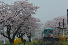 サクラ咲く駅