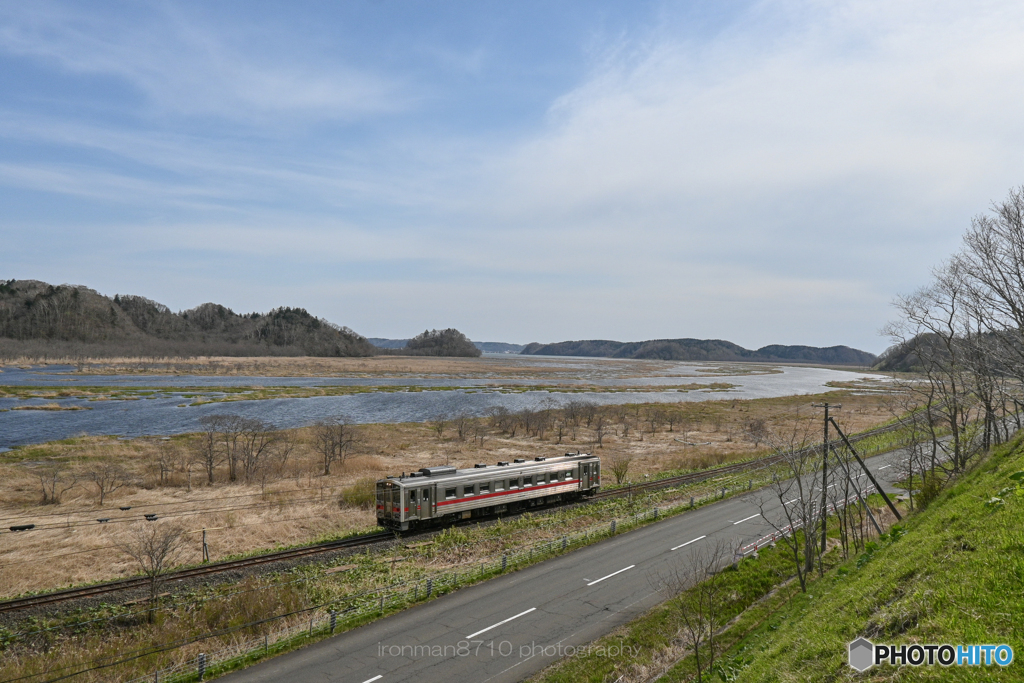 湿原を走る②