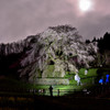 月夜に照らされて