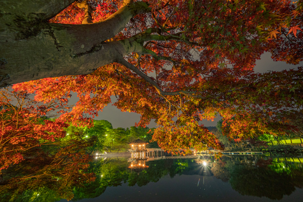 紅葉と夜の浮見堂