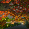 紅葉と夜の浮見堂