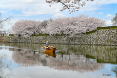 春の景色