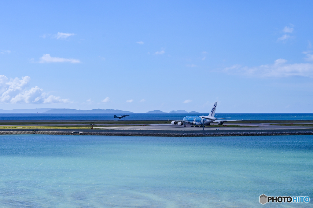 青い海と青いカメ