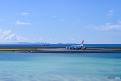 青い海と青いカメ