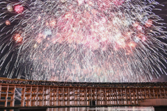 見上げる花火