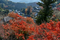 山寺の紅葉