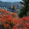 山寺の紅葉