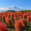 富士と紅葉、３