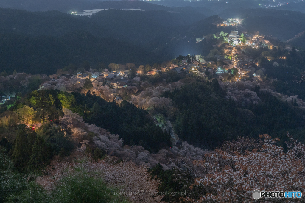 月夜に浮かぶ吉野の桜