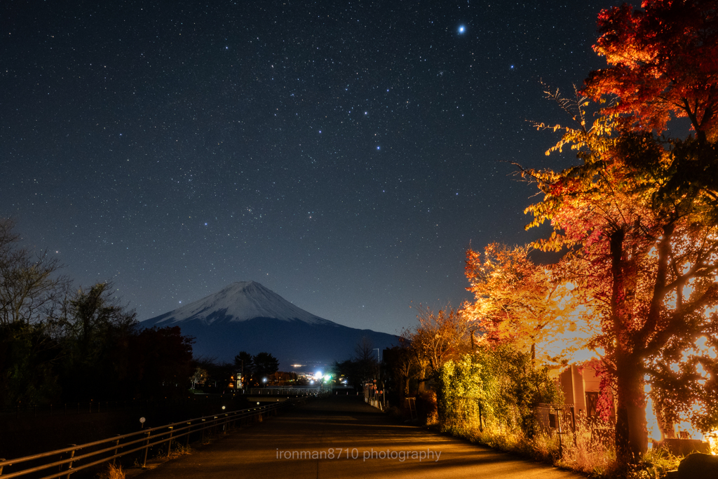 深夜の紅葉