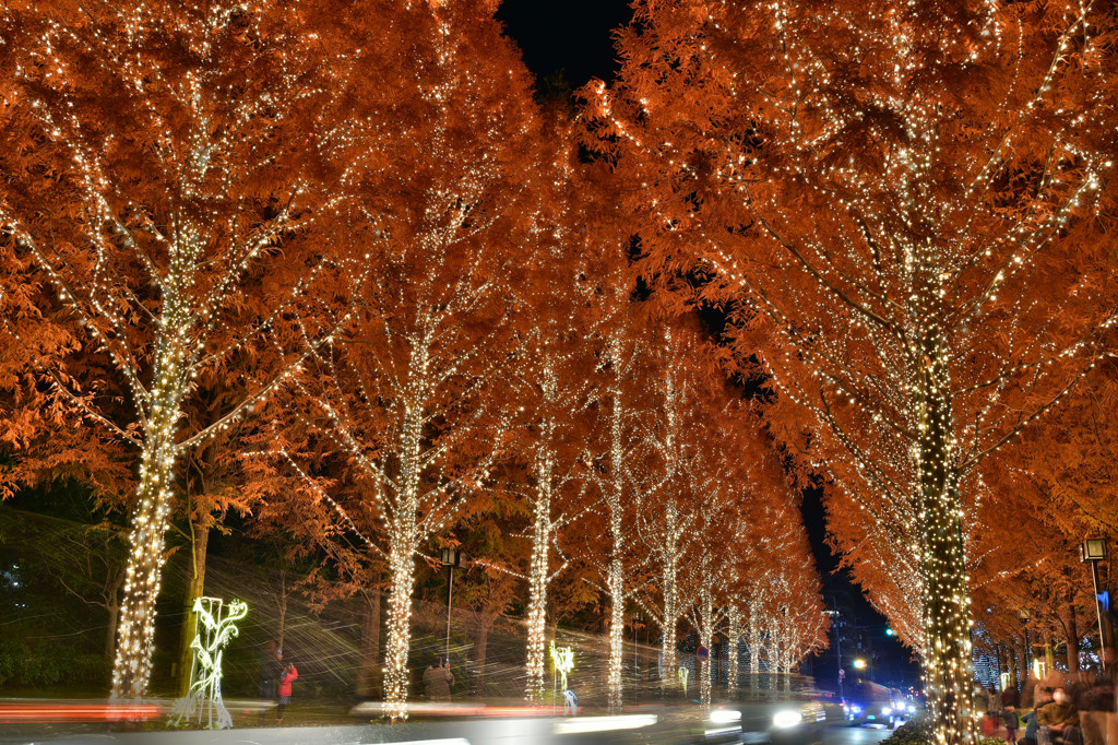 ROHM ILLUMINATION