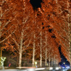 ROHM ILLUMINATION