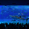 美ら海水族館
