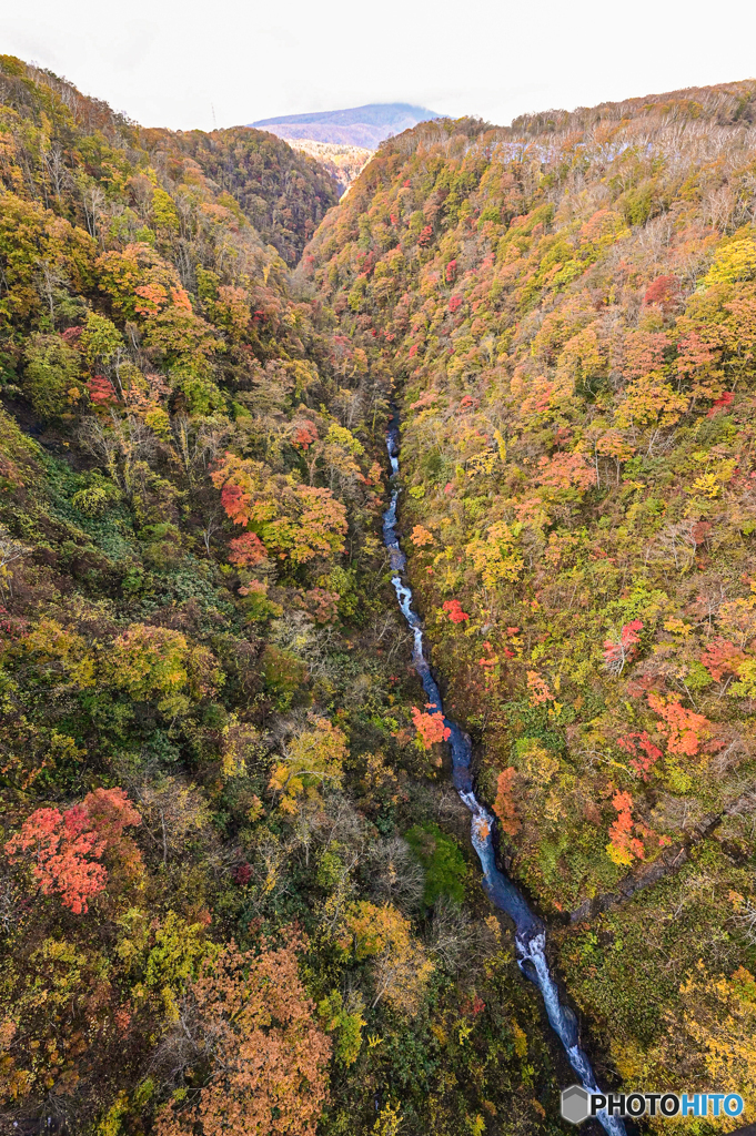 紅葉の谷