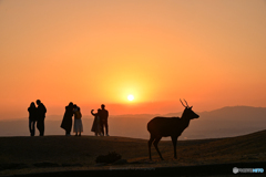 それぞれの夕景