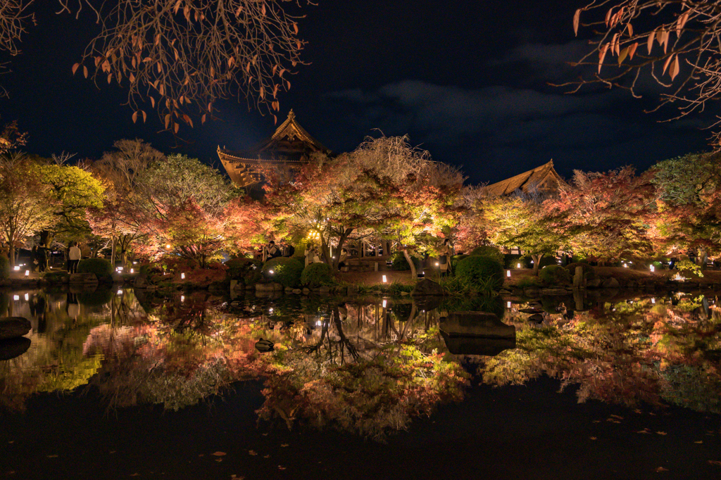 東寺紅葉ライトアップ①