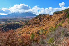 御岳山の紅葉３