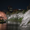 千鳥ヶ淵・夜桜ライトアップ