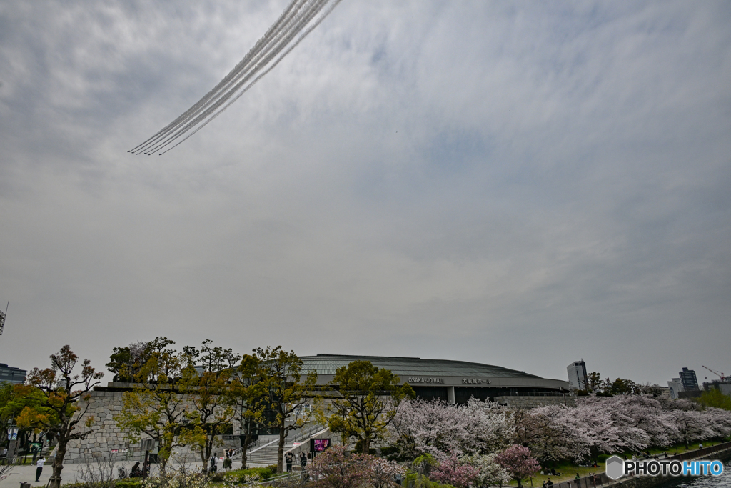 桜とブルーインパルス