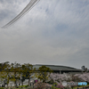 桜とブルーインパルス