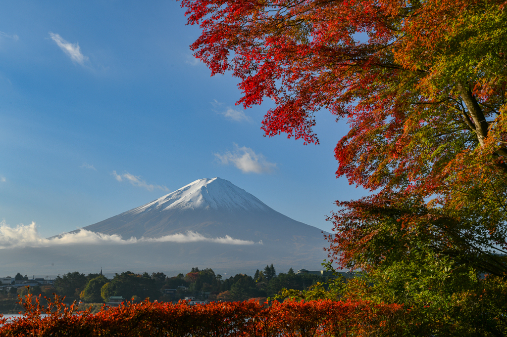 富士と紅葉、４