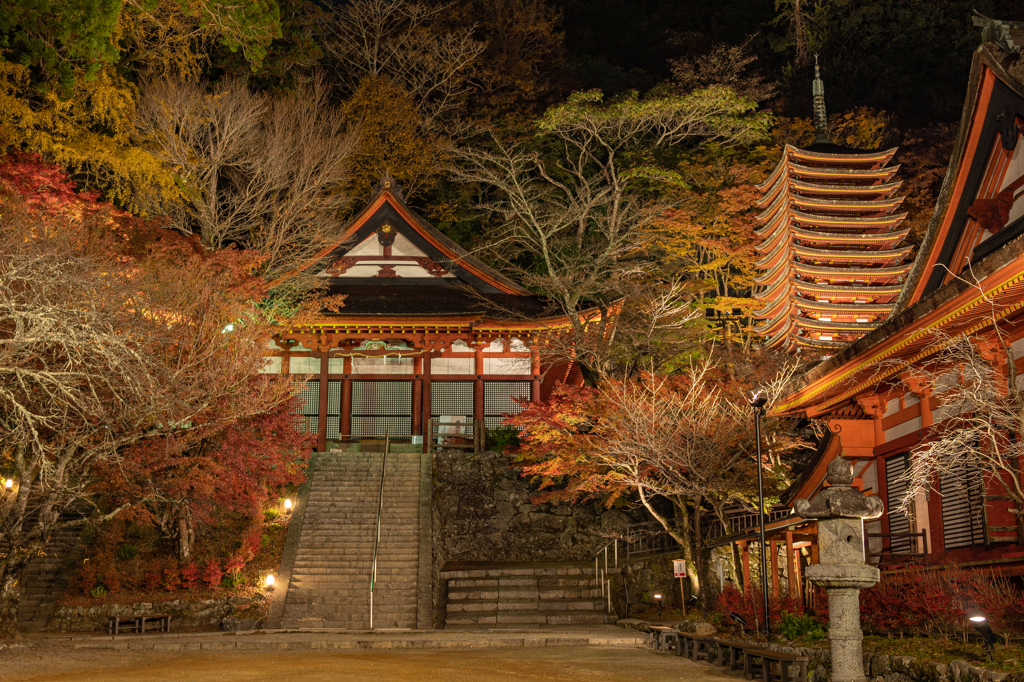 談山神社・紅葉ライトアップ④