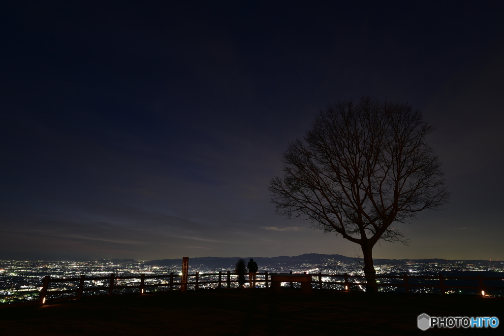 若草山からの夜景②