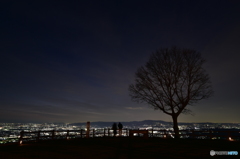 若草山からの夜景②