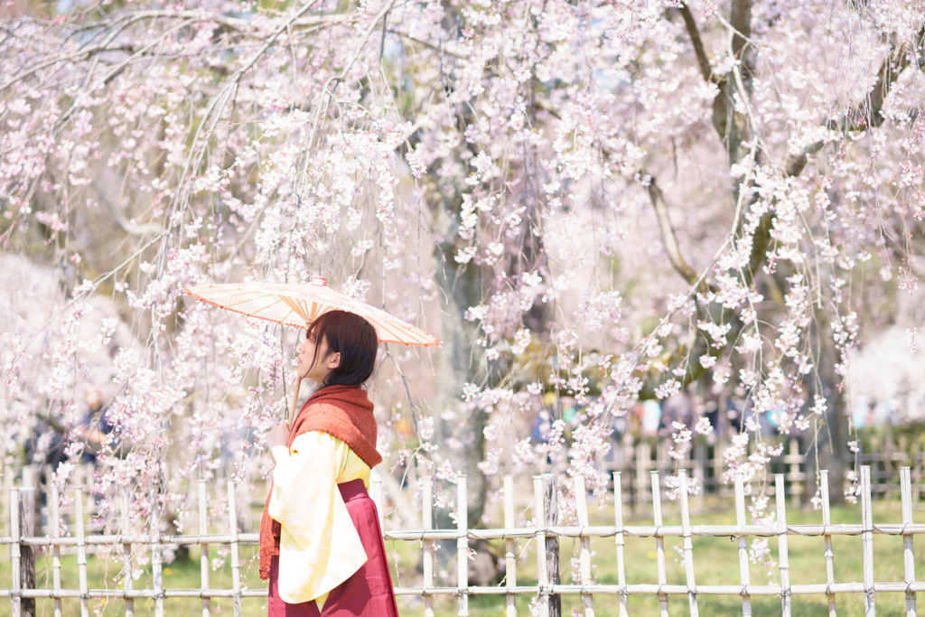 2017_04_04 京都御苑01