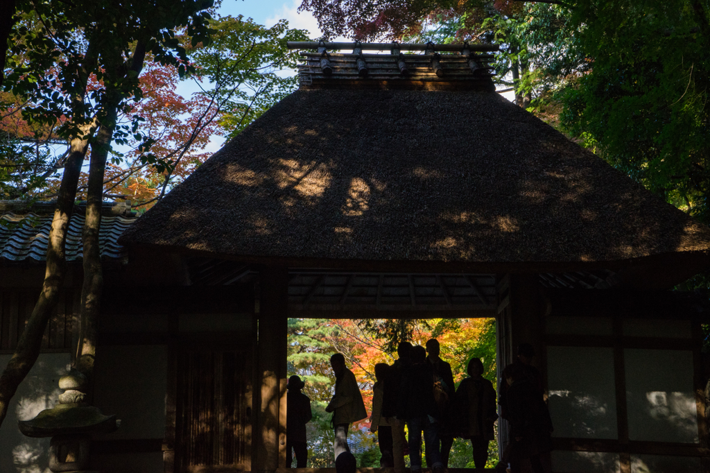 2014_11_19 法然院