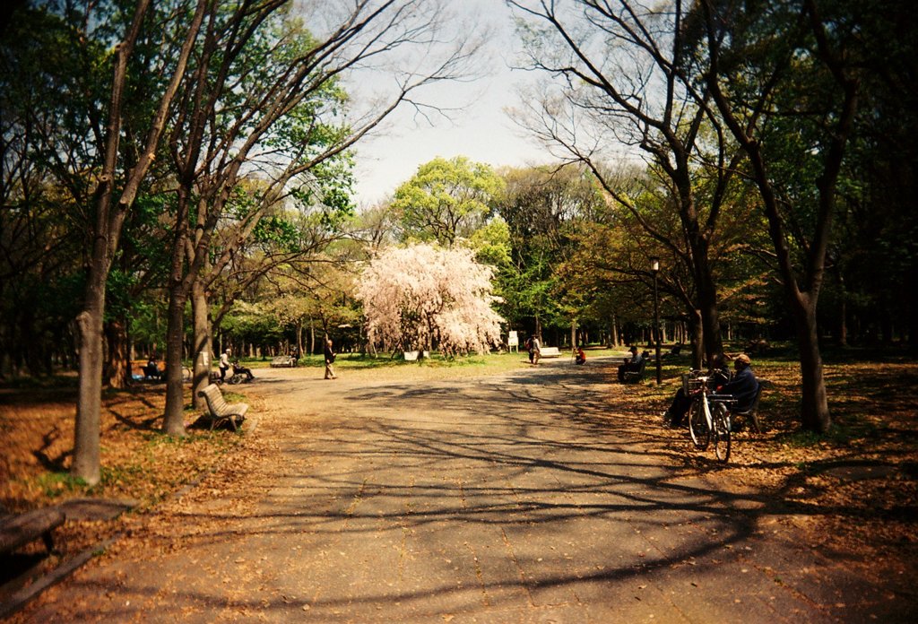 大阪城公園