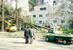 2012_04_19 靭公園