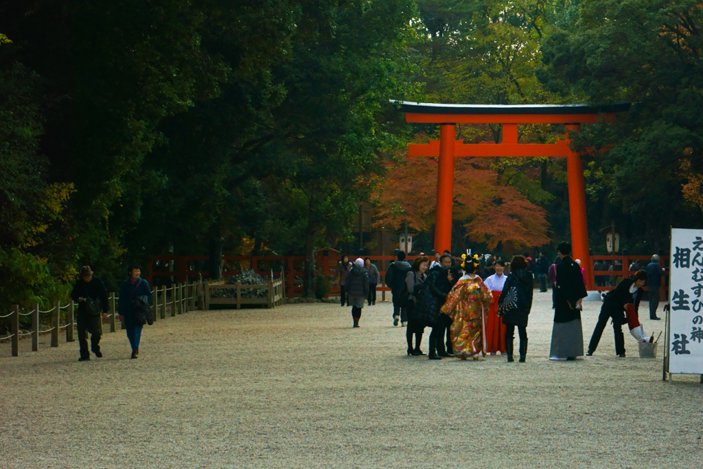 2013_12_02 下鴨神社02